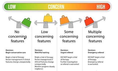 Spotting a Few Possible Red Flags Using Dr Michael Balboni’s .